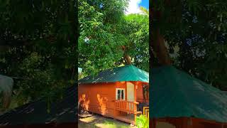 COTTAGES IN SEA HEAVEN BEACH RESORT COTTAGE BEACH RESORT SEAHEAVENRESORT SEAHEAVENBEACHRESORT [upl. by Nierman526]