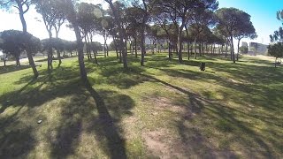 FPV Racer in the forest armengol13 [upl. by Sapphera]