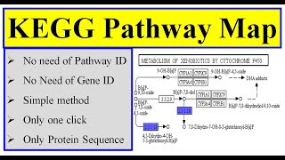 KEGG pathway map in tbtool [upl. by Dunaville]