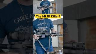 Is this rifle the mk18 killer [upl. by Tarabar]