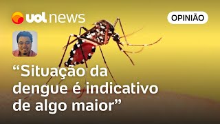 Rico também pega dengue  e isso pode lembrar que mudança climática existe  Sakamoto [upl. by Keyte]