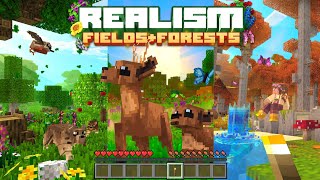 Realism Fields  Forests  O ADDON QUE DEIXA O MCPE MAIS REALISTA Bedrock [upl. by Naitsihc]