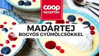 Madártej bogyós gyümölcsökkel  recept [upl. by Ehling]