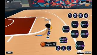 My Court on hoop Nation [upl. by Airol]