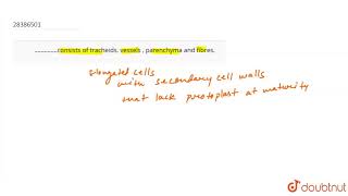 ����consists of tracheids vessels  parenchyma and fibres [upl. by Demahom]