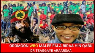 Oromoon WBO malee fala biraa hin qabu Dr Tsaggaayee Ararsaa  Yaaii Gamtaa Arabaaoromo ethiopia [upl. by Tad]