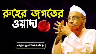 রুহের জগতের ওয়াদা  আল্লামা নুরুল ইসলাম ওলিপুরী nurul islam olipuri [upl. by Keyser]