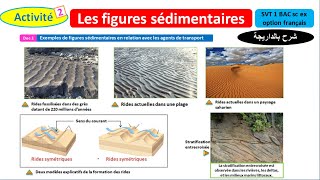 Les figures sédimentaires svt 1 Bac sc ex option français شرح بالداريجة [upl. by Oinafipe]