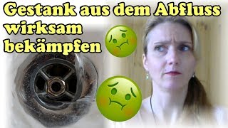 Abfluss stinkt Was hilft als Alternative zum Abflussreiniger Lifehack Anleitung Tutorial Howto [upl. by Stargell13]