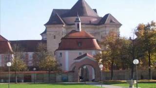 UlmWiblingen  Basilika St Martin  Vollgeläut [upl. by Aillemac]