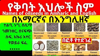 Names of Oilseeds in English and Amharic with pictures  የቅባት እህሎች ስም [upl. by Chiquia702]