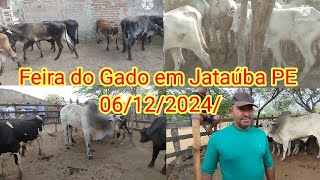 Feira do Gado em Jataúba PE 06122024 [upl. by Maisie714]