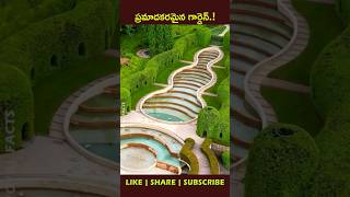 Poison Gardenfactsintelugu youtubeshorts shortvideo viralshort [upl. by Ennyl]