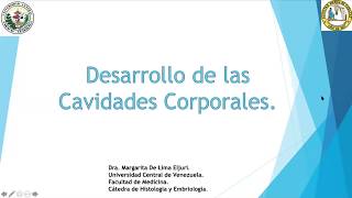 Desarrollo de las cavidades corporales [upl. by Enalahs111]