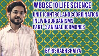 Part 3 Animal hormones control and coordination in living life science wbbse 10 [upl. by Annyl]