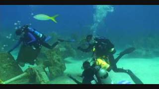 Teenagers diving with sharks in Underwater Family Adventure at The Bahamas [upl. by Eciralc312]