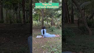 Yoga Transformation Journey to Full Body Flexibility 🧘🪷❤️ yoga transformation shortvideo [upl. by Richart]