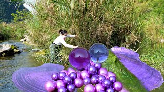 😱I found a giant purple clam in the wilderness filled with enchanting purple pearls I was so lucky [upl. by Nylodnarb]