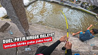 STRIKE BIKIN CANDU‼️Aku Mancing 3 Jenis Ikan di Kolam yang Ramah Strike Pakai Joran Tegek Lentur [upl. by Essie]