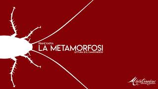 La Metamorfosi F Kafka  Audiolibro Integrale [upl. by Enilauqcaj]