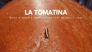 La Tomatina festival  what is it actually like [upl. by Vasquez]