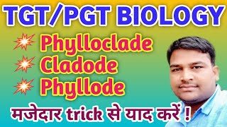 Phylloclade Cladode Phyllode  tricky biology  Difference between Phylloclade Cladode amp Phyllode [upl. by Now]