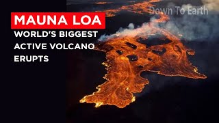 Mauna Loa worlds biggest active volcano erupts after 38 years [upl. by Auhsej507]