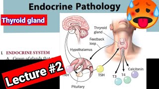 🔴 ENDOCRINOLOGY PATHOLOGY LECTURES 2 Thyroidgland hyperthyroidism hypothyroidism [upl. by Wareing]