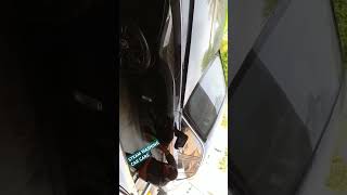 HOW CLEANING BY OPTIMA STEAMER WORLD BEST WORK carcareservices carcleaningservice carcare [upl. by Kala]