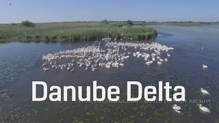 Danube Delta 2017 Raw Footage Romania [upl. by Eibo]