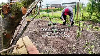 How to start a Vegetable Garden in Stockland Green Smilingsmiler vegetablegarden [upl. by Carmena]