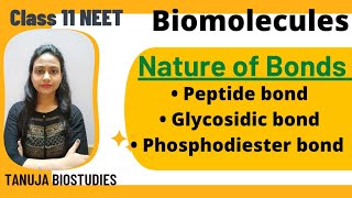 Biomolecules  Nature of bonds Peptide bond Glycosidic bond  Phosphodiester bond  Class 11 NEET [upl. by Galen303]