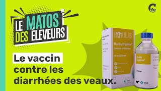 MATOS DES ELEVEURS l Le vaccin contre les diarrhées des veaux [upl. by Althee]