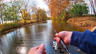 Spring Stocked Trout During Fall Creek Fishing [upl. by Breed328]