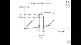 7  Physiologie cardio vasculaire partie 7 [upl. by Inneg591]