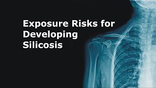 Exposure Risks for Developing Silicosis [upl. by Itisahc]