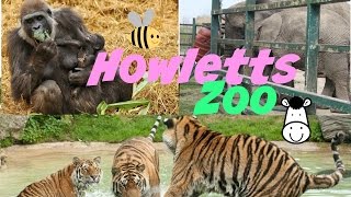 Howletts Zoo [upl. by Duggan255]