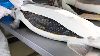 How Sturgeon Caviar Is Farmed and Processed  How it made Caviar  Sturgeon Caviar Farm [upl. by Menis203]