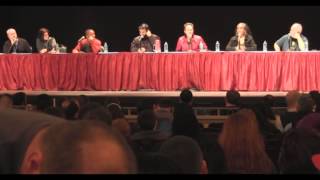 Pensacon  MMPR Panel wAustin St John [upl. by Nodnahs788]