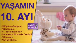 Yaşamın 10 Ayı  Uyku Sorunları BüyümeGelişme Ek besin Kutlama [upl. by Aicitel]