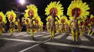 Comparsas Ritmo y Armonía · Carnaval 2014 · Santa Cruz de Tenerife [upl. by Falkner]