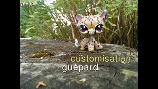 10 CUSTOM LPS petshop guépard  chat européen [upl. by Chapel]