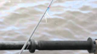 LANDLOCKED ATLANTIC SALMON FLY ROD TROLLING HOW TO RIG [upl. by Bander]