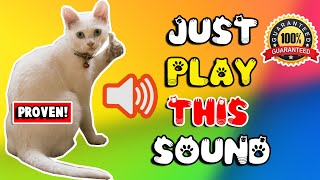 Mother cat calling for her kittens sound effect ⭐ mom cat sounds to attract cats [upl. by Adal]