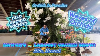 Hawaii’s 🏝️ Largest Orchid Show [upl. by Nylednarb]