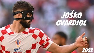 Joško Gvardiol 20222023 ● Best Skills amp Goals ● HD [upl. by Ytisahc]