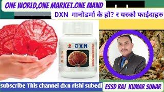 DXN Ganodema in nepali health Benifits of Ganotherapy  ByESDRaja kumar sunar [upl. by Allayne]