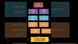 composition of blood in hindi  blood parts and their functions [upl. by Eseer]