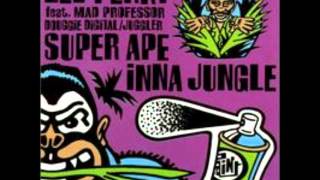 Mad Professor amp Lee Perry  Writing On The Wall [upl. by Chance]