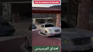 Polisario immatriculation Sh sahraoui mercedes souk tindouf Algérie maghreb maroc souk siyara dz [upl. by Nagn449]